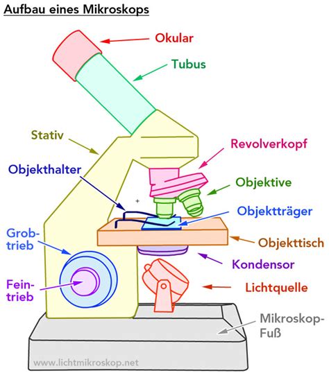 das mikroskop die mikroskopische technik PDF